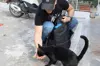 GreeceBlog_01.JPG